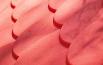 Pitcorthie plastic roof costs