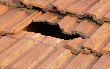 roof repair Pitcorthie, Fife