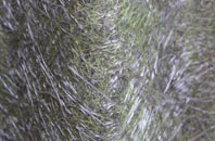 Pitcorthie fibreglass roof work